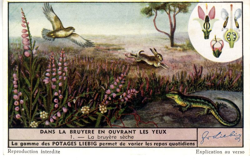 Nouveau sur la Bn-R