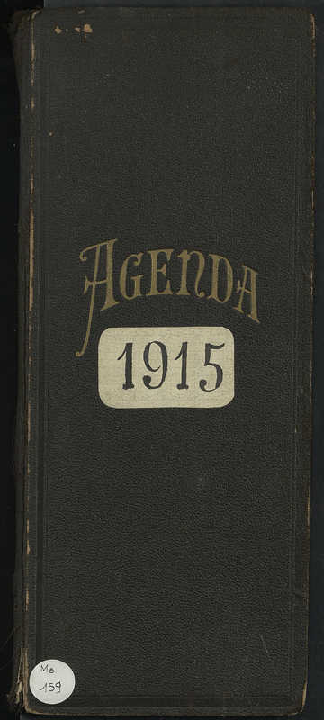 Journal de guerre 1915