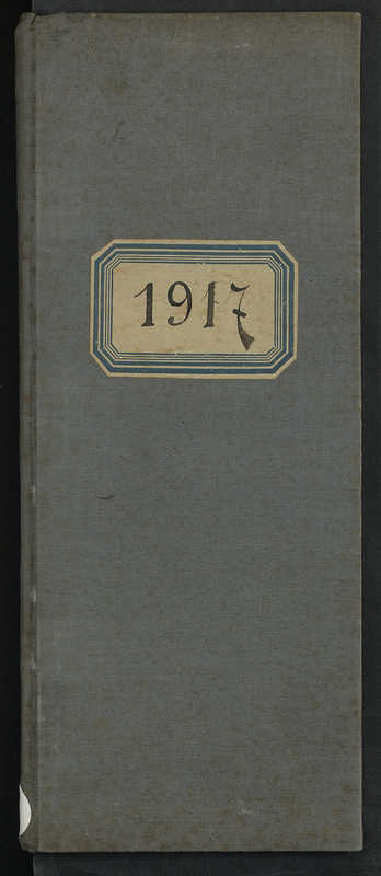 Journal de guerre 1917