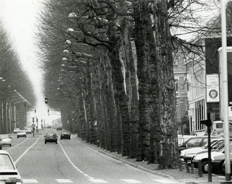 Le boulevard du Général de Gaulle