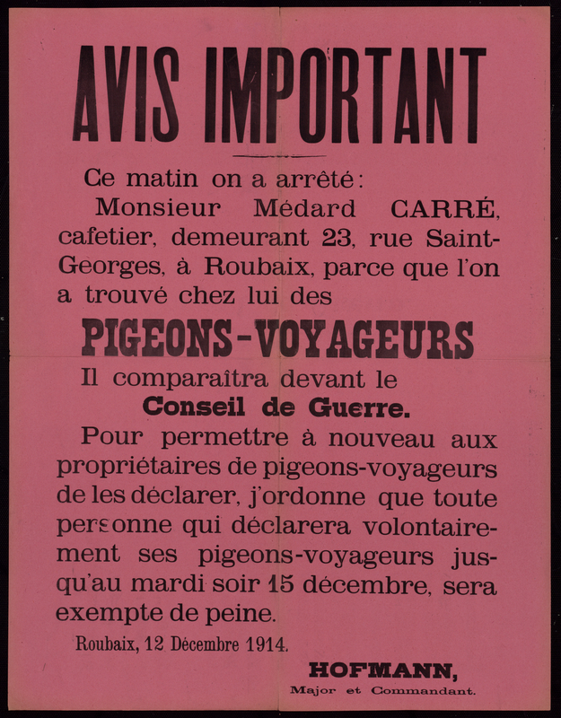 Avis important pigeons-voyageurs