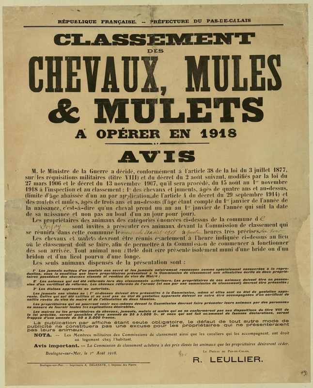 Classement des chevaux, mules et mulets 1août 1918