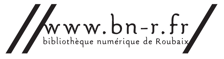 Logo Bn-R