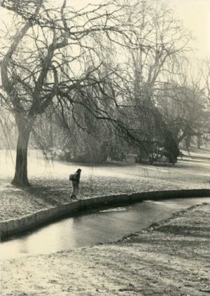 Dans le parc