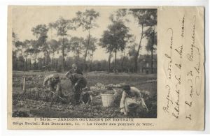 La récolte des pommes de terre