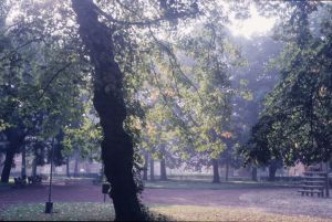 Espace jeux du parc de la Potennerie