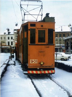 Un ancien mongy dans la neige