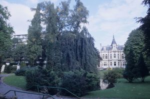 Les allées du square