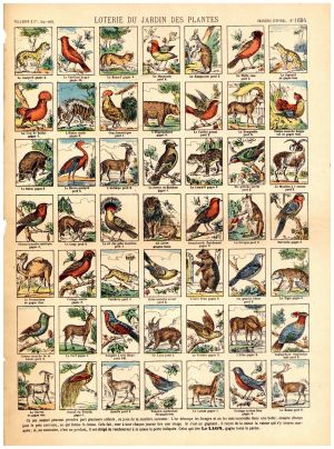 Loterie du Jardin des Plantes