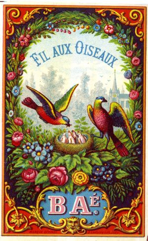 Fil aux oiseaux