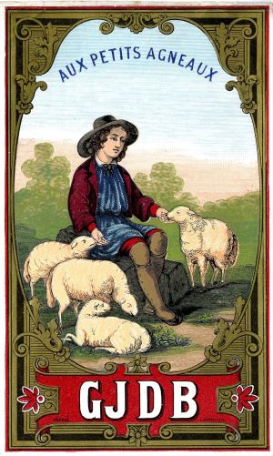 Aux petits agneaux