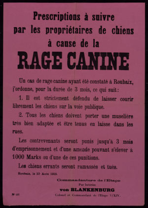 La rage canine