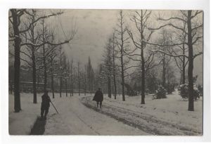 Allée du parc Barbieux sous la neige