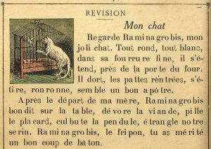 Révision avec le texte Mon chat