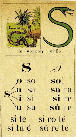 Le S de Serpent
