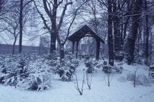 Une invitée d'hiver