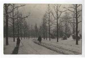 Le parc sous la neige