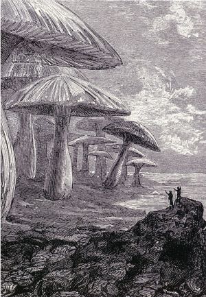Forêt de champignons géants