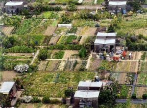 Vue aérienne de jardins ouvriers