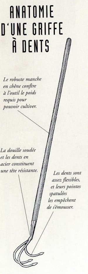 Une griffe à dents