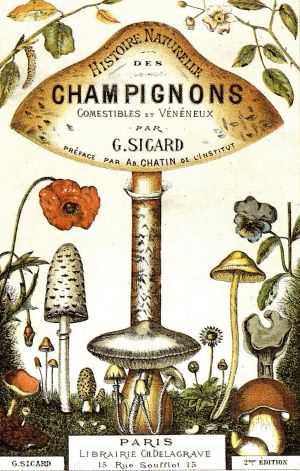 Histoire naturelle des champignons