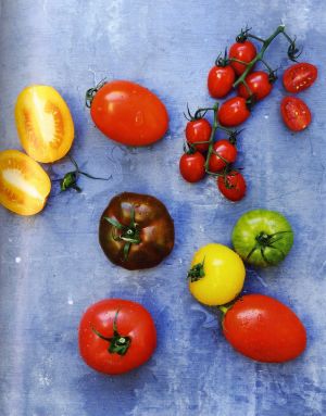 Variétés de tomates