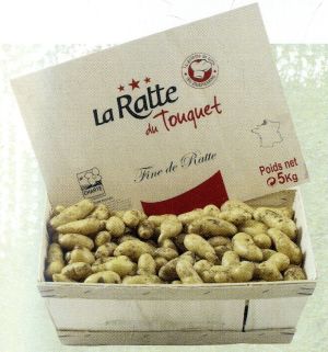La ratte du Touquet