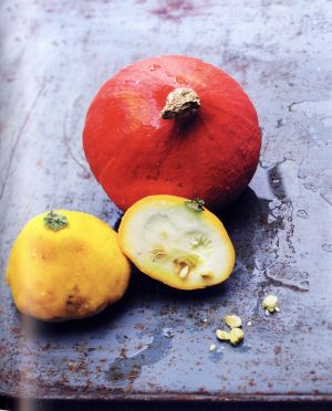 Cucurbitacées
