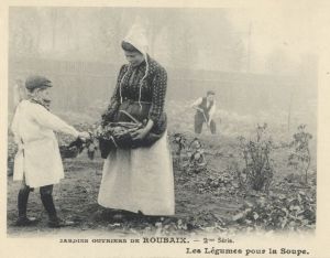 Récolte des légumes pour la soupe, 1907
