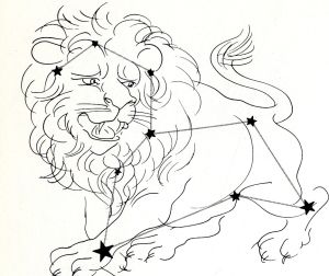 Le lion