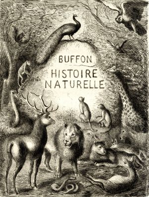L'histoire naturelle 