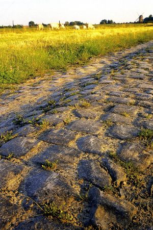 Les pavés par beau temps